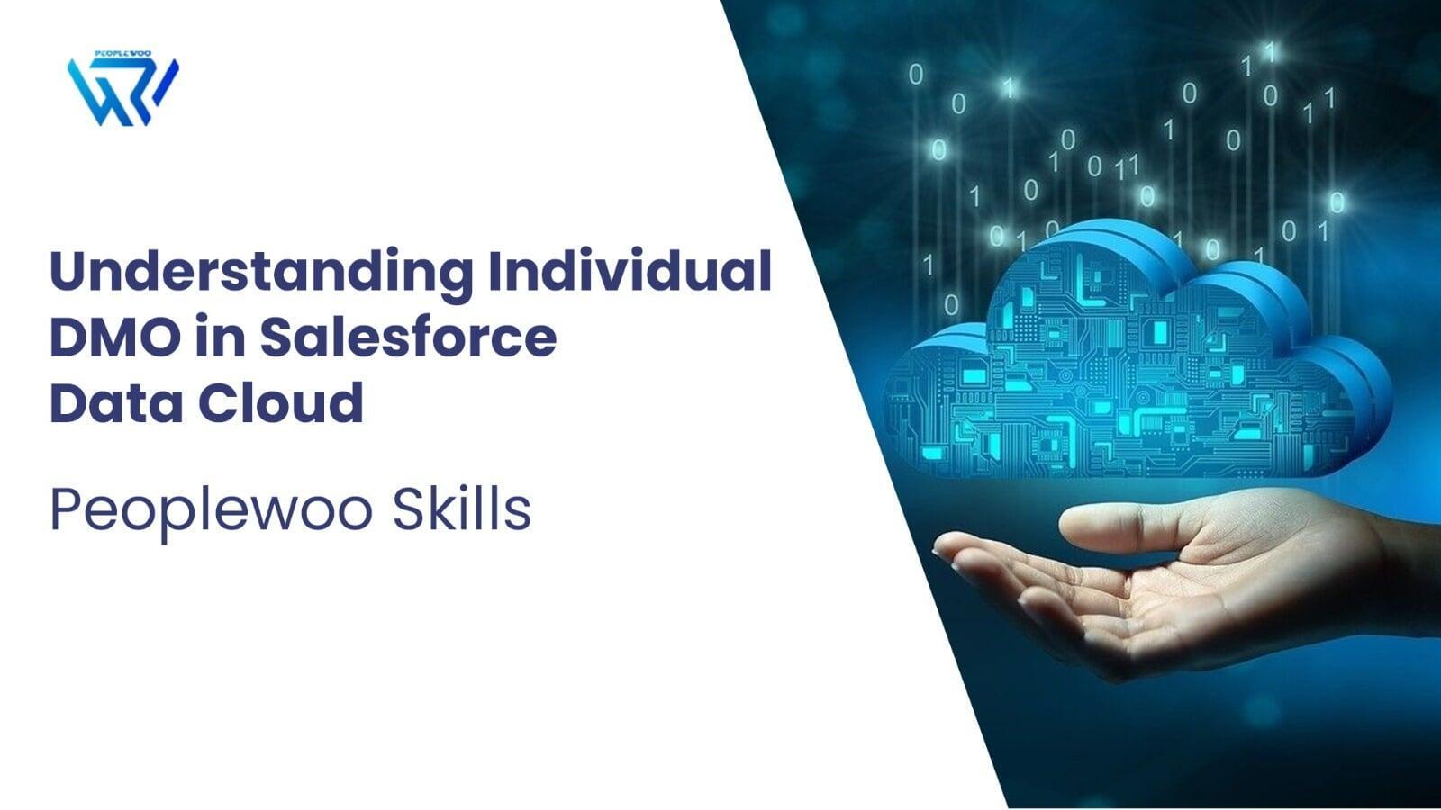 Understanding Individual DMO in Salesforce Data Cloud | Peoplewoo Skills
